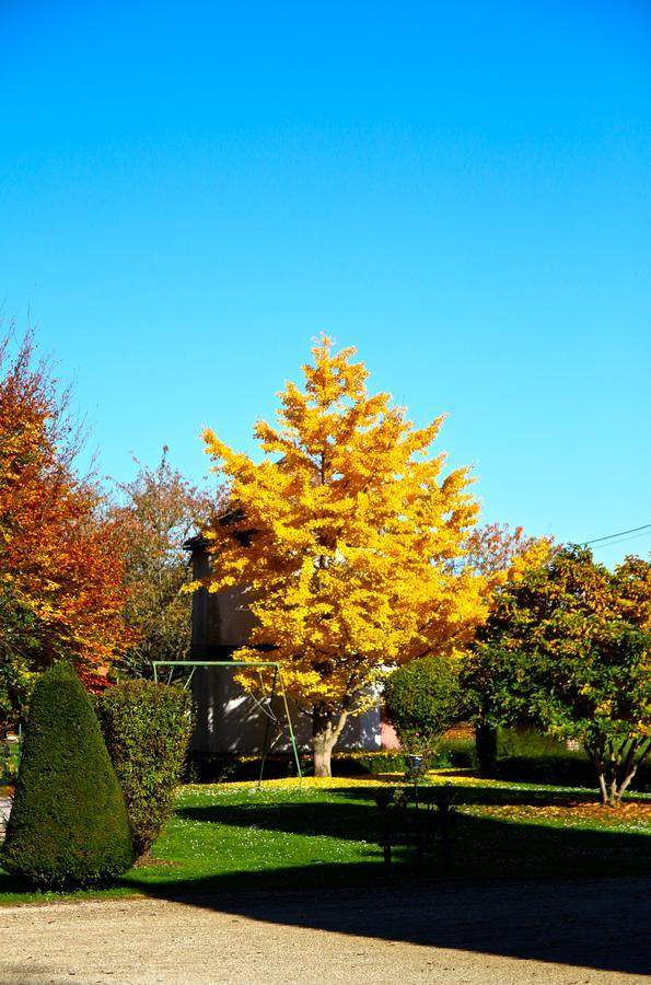 Chateau De Montabert Montaulin Bagian luar foto