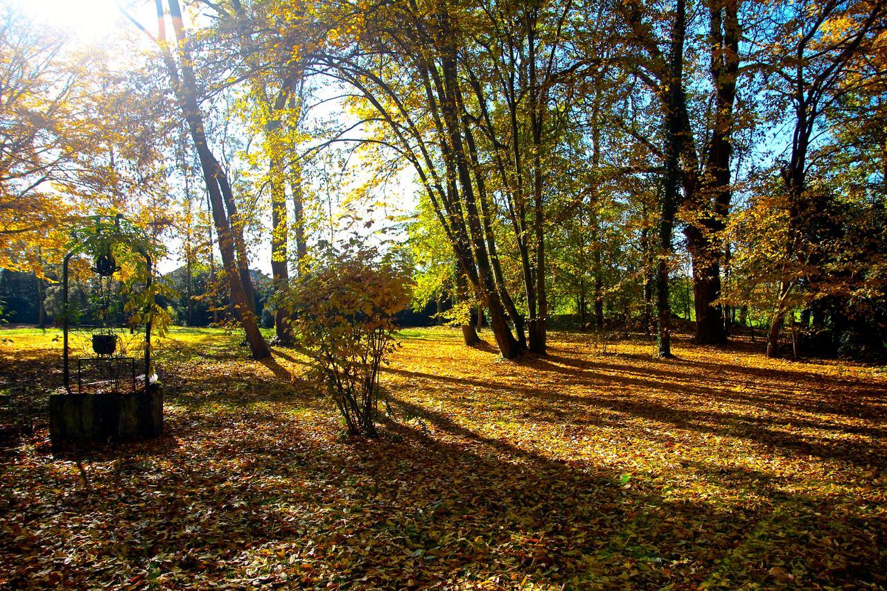 Chateau De Montabert Montaulin Bagian luar foto