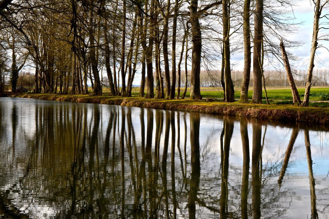 Chateau De Montabert Montaulin Bagian luar foto